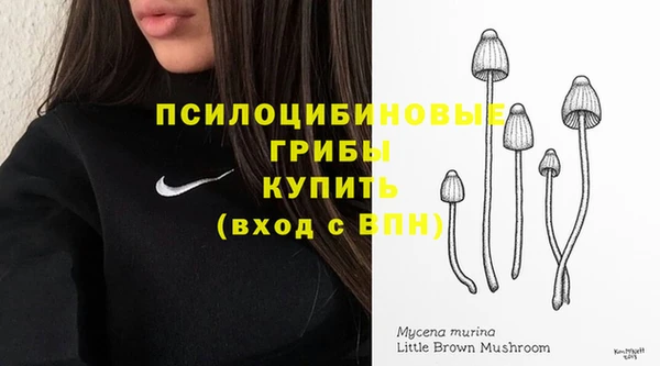 прущая мука Бородино