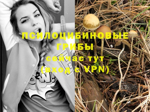 амф Бугульма