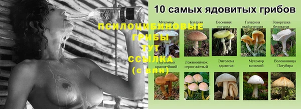 прущая мука Бородино