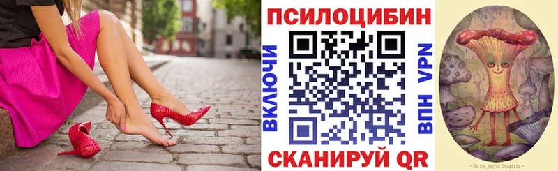 что такое Вичуга Галлюциногенные грибы Magic Shrooms