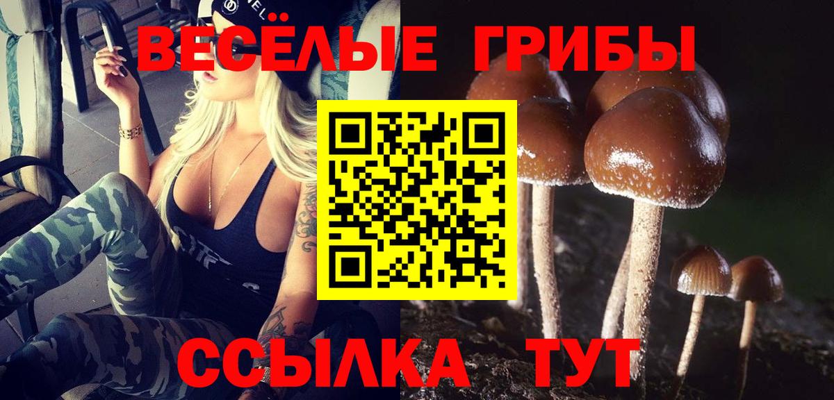 Псилоцибиновые грибы GOLDEN TEACHER Вичуга