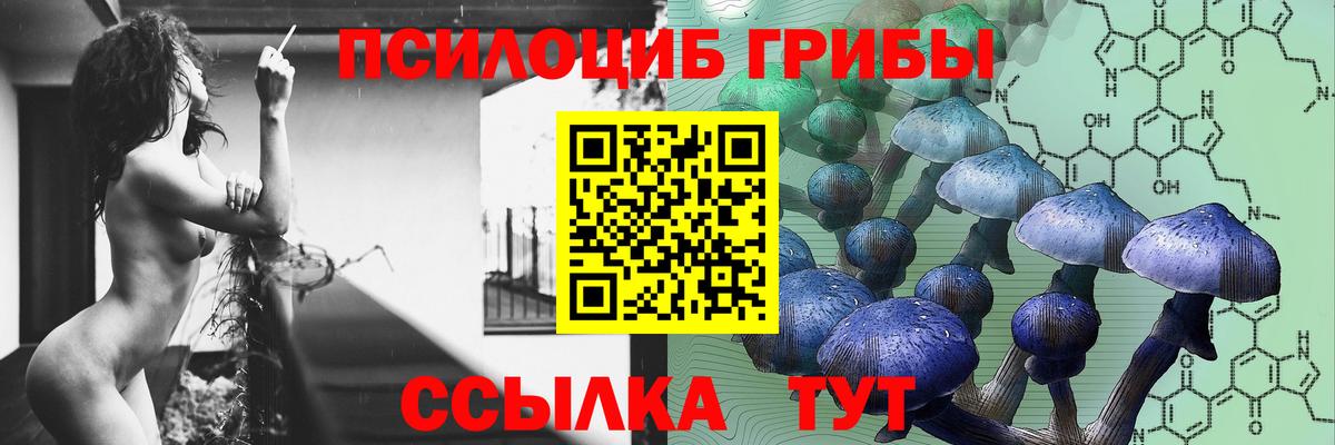 Вичуга  Галлюциногенные грибы мицелий  Галлюциногенные грибы ЛСД  Вход с VPN 